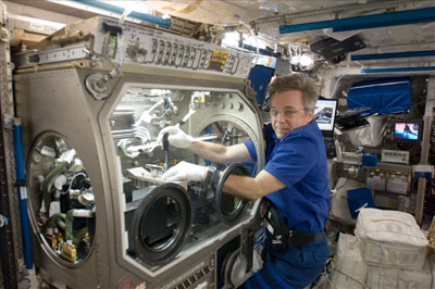 ISS Canadian Astronaut Bob Thirsk using microgravity science glovebox