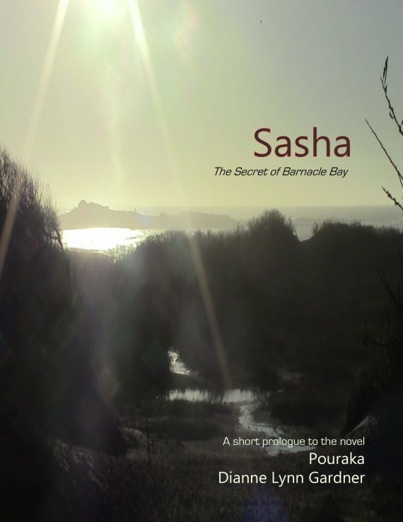 Sasha cover