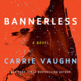 Book Cover: Bannerless by Carrie Vaughn